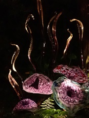Chihuly glass art